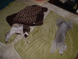blog