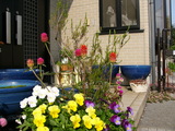 blog