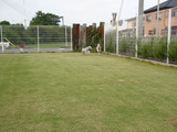blog1