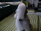 blog