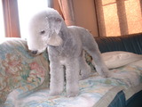 blog