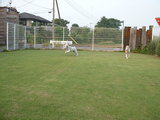 blog