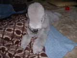 blog