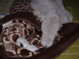 blog