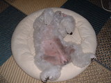blog