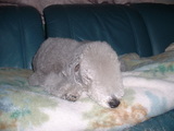 blog
