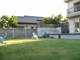 てんじん。