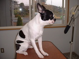 blog