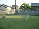 blog