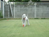 blog