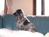 blog