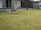 blog1