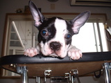 blog
