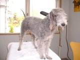 Blog