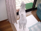 blog