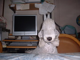 blog
