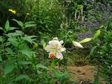 blog1