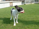blog