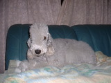 blog