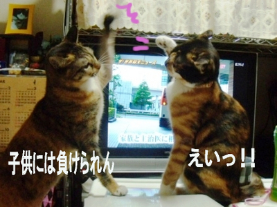 �ե��֣ӥϥ�