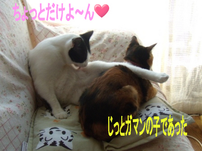 ­�֤�