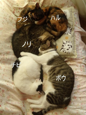 ���˥���Ļ�