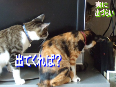 �Ф�˽Ф��ʤ�