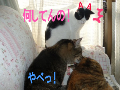 ���Ѵط��Ǥ�
