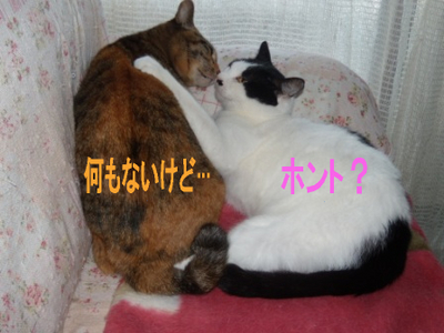 �̤�