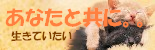 保護ブログ