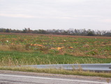 7cd123ab.JPG