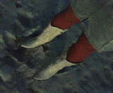 0af5f07a.jpg