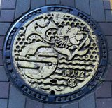 sagamino1