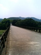 hashi