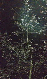f085726c.jpg
