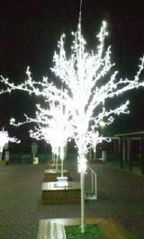 f33369b6.jpg