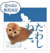 たわしねこ画像