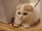 ʡ������̾�Υ��塼��󥰤��ԤäƤ��