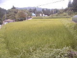 030811tanbo