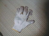 021111glove