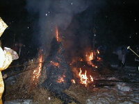 020120dondo
