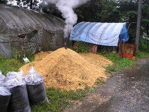 061003kuntan