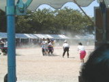020902mukade