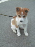 030120-0203momo