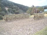 020923hazagake
