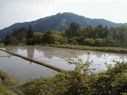 tanbo1