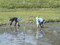 020526taue