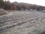 021125shimo