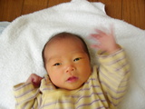 15516abc.JPG