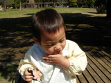 5a9d1729.JPG